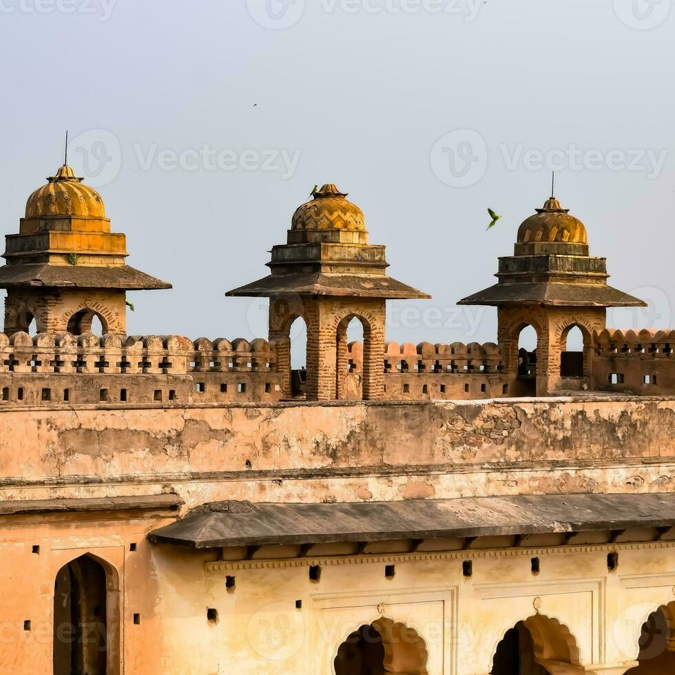 hermosa ver de orchha palacio fuerte, raja mahal y chaturhuj templo desde jahangir mahal, orcha, madhya pradesh, jahangir mahal orchha fuerte en orcha, madhya pradesh, indio arqueológico sitios foto