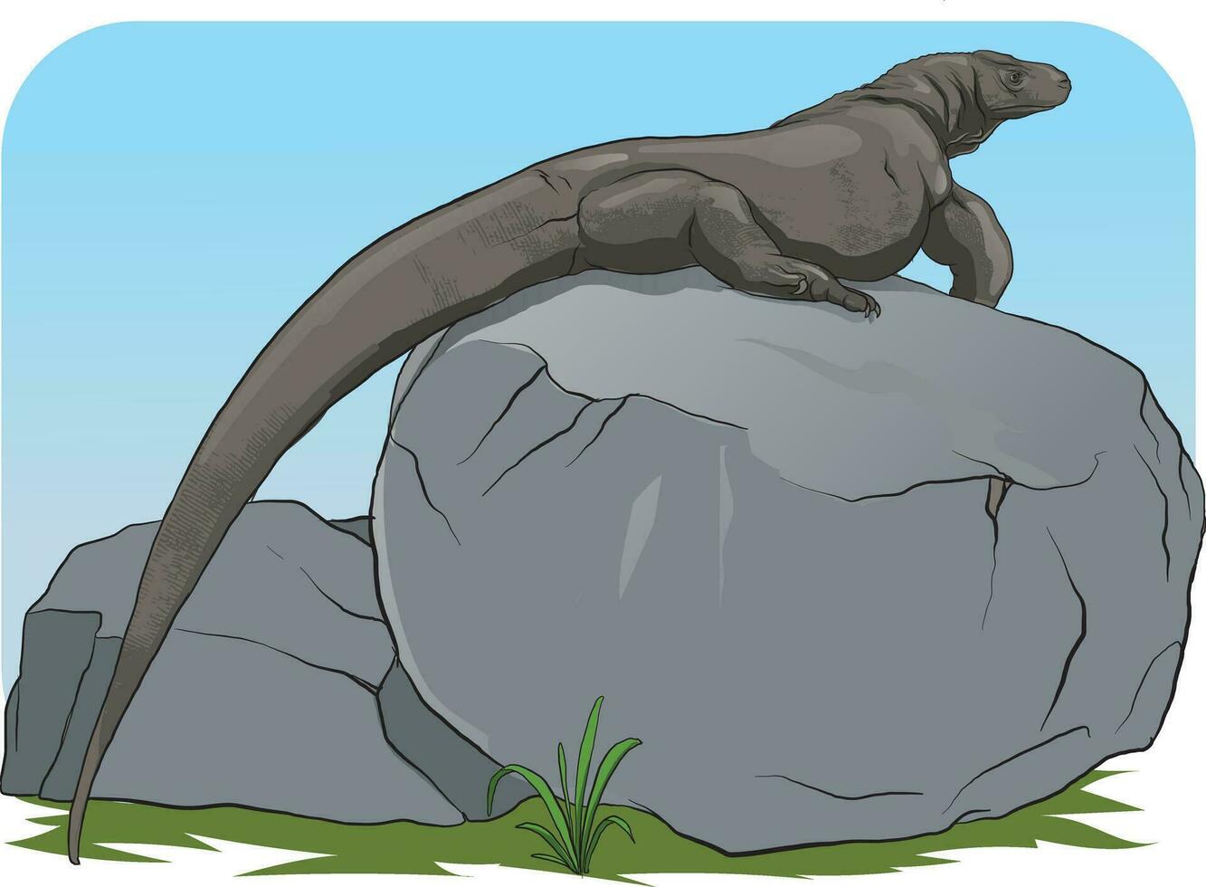 illustration of komodo dragon on a large rock vector