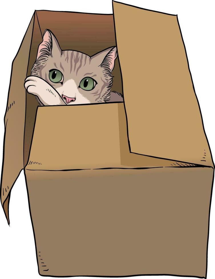illustration of cat in a cardboard box vector