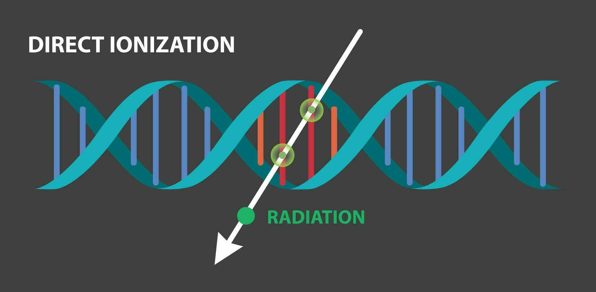 illustration of direct ionization infographic vector