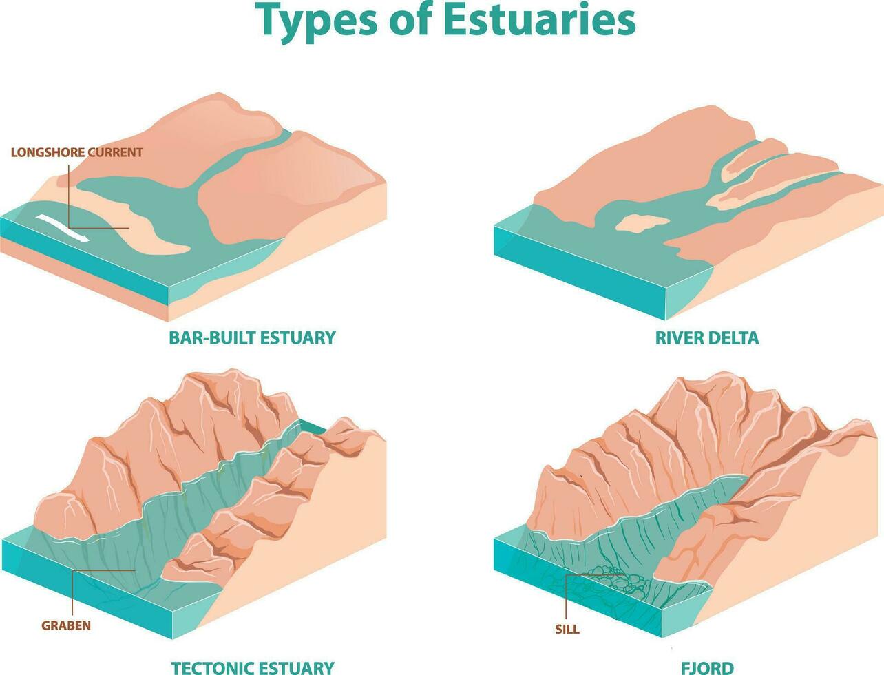 illustration of estuaries types diagram vector
