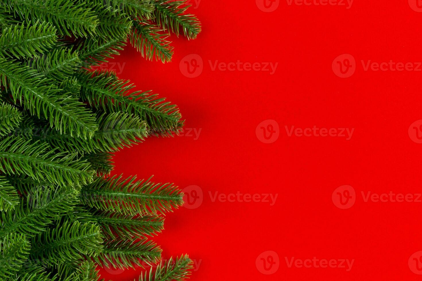 Top view of colorful background made of green fir tree branches. New year holiday concept with copy space photo