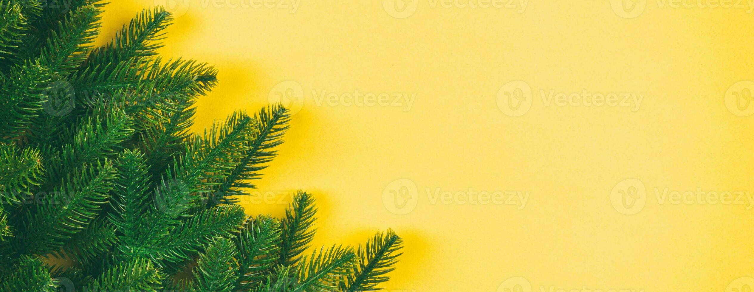 Top view of green fir tree branches on colorful background. New year holiday concept with empty space for your Banner design photo