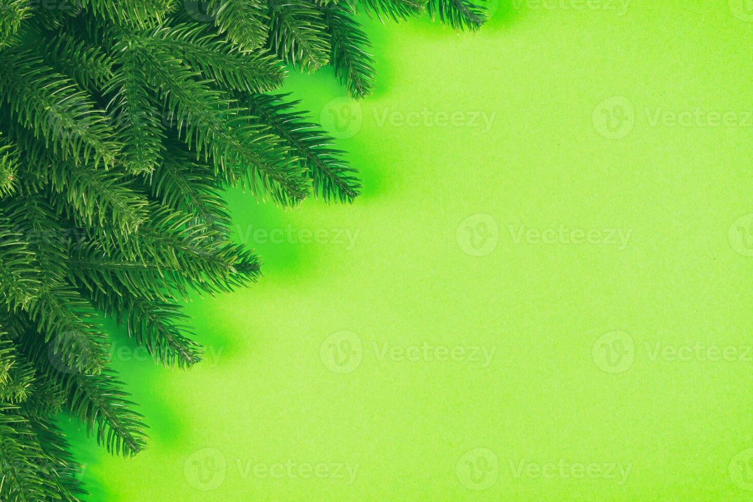Top view of colorful festive background made of fir tree branch. Christmas holiday concept with copy space photo