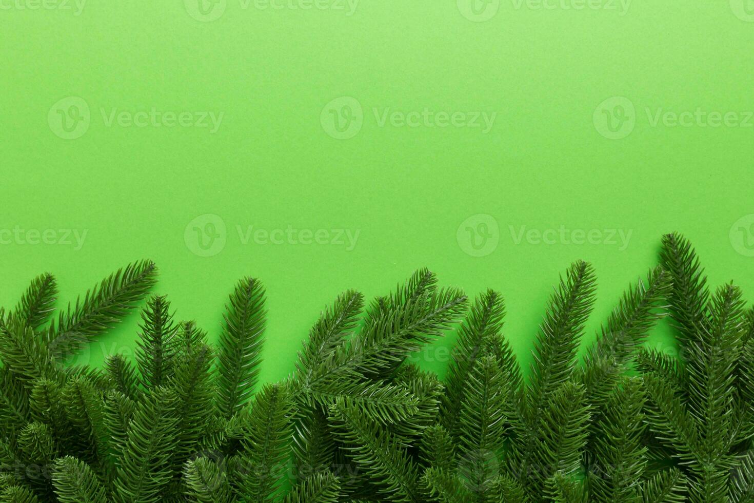Christmas holiday background with copy space for advertising text. Fir branches on color background . Flat lay, top view photo