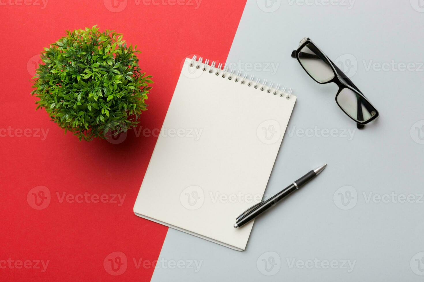Modern office desk table with notebook and other supplies with green tree. Blank notebook page for you design. Top view, flat lay photo