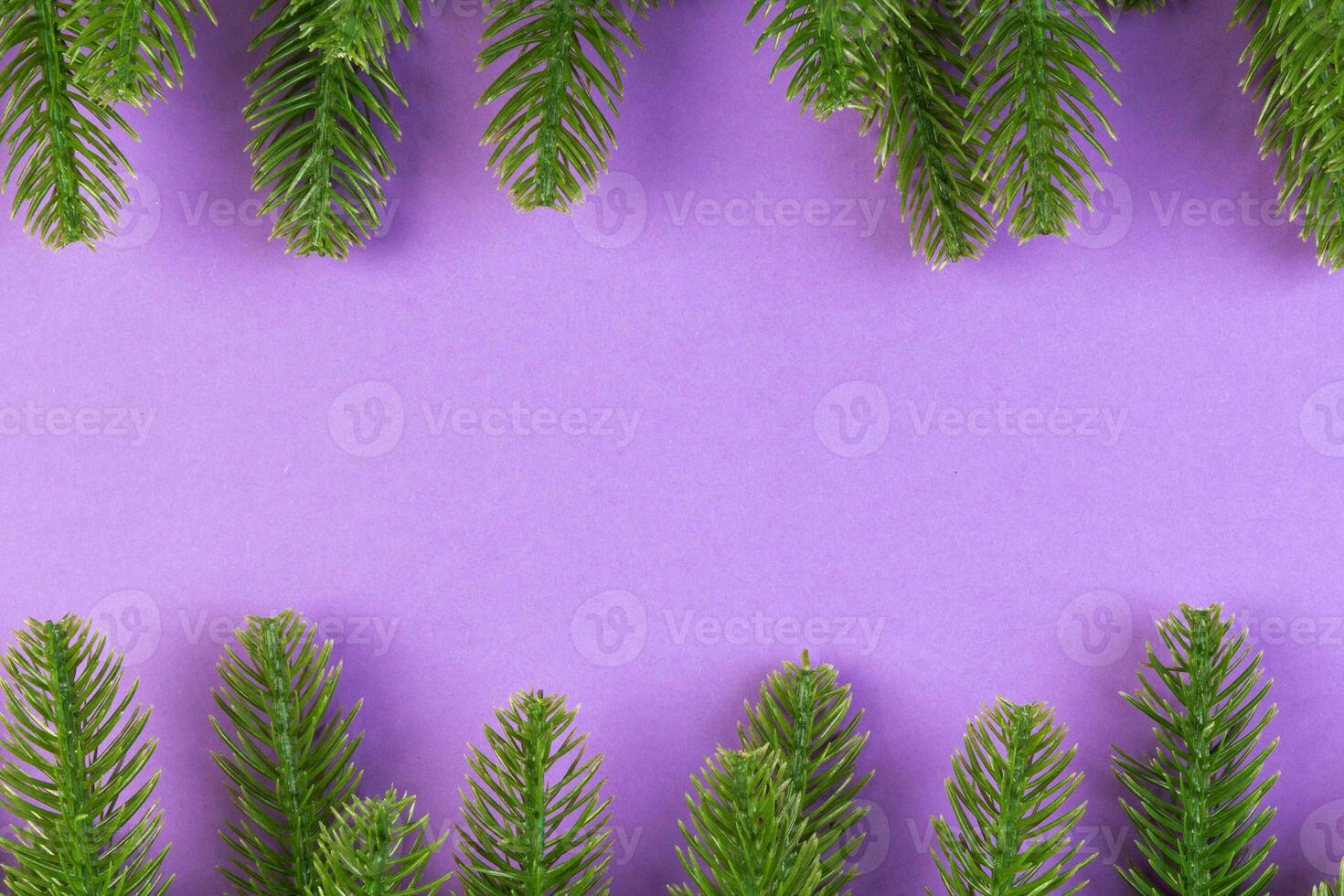 Top view of green fir tree branches on colorful background. New year holiday concept with empty space for your design photo
