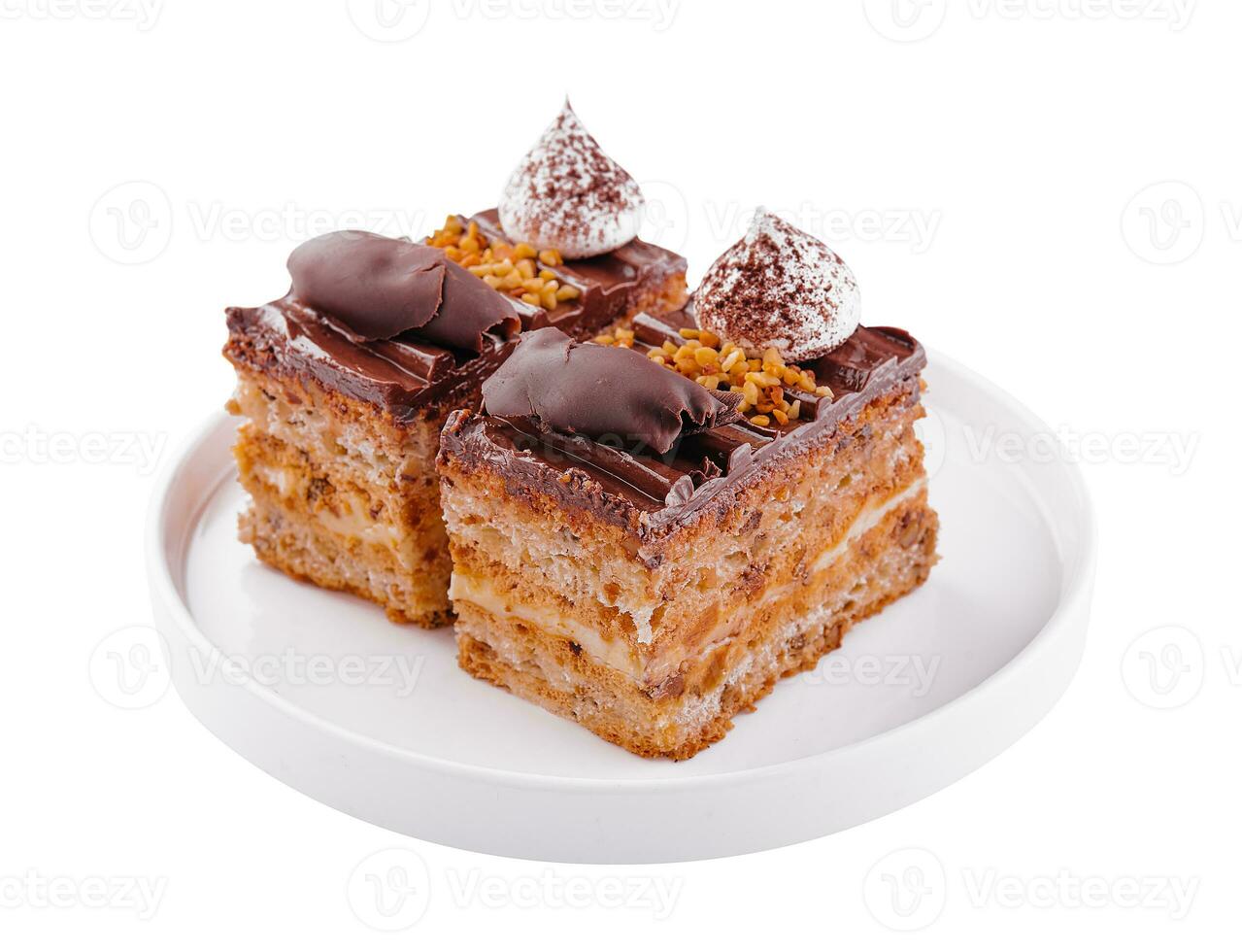 Chocolate cake on a white plate photo