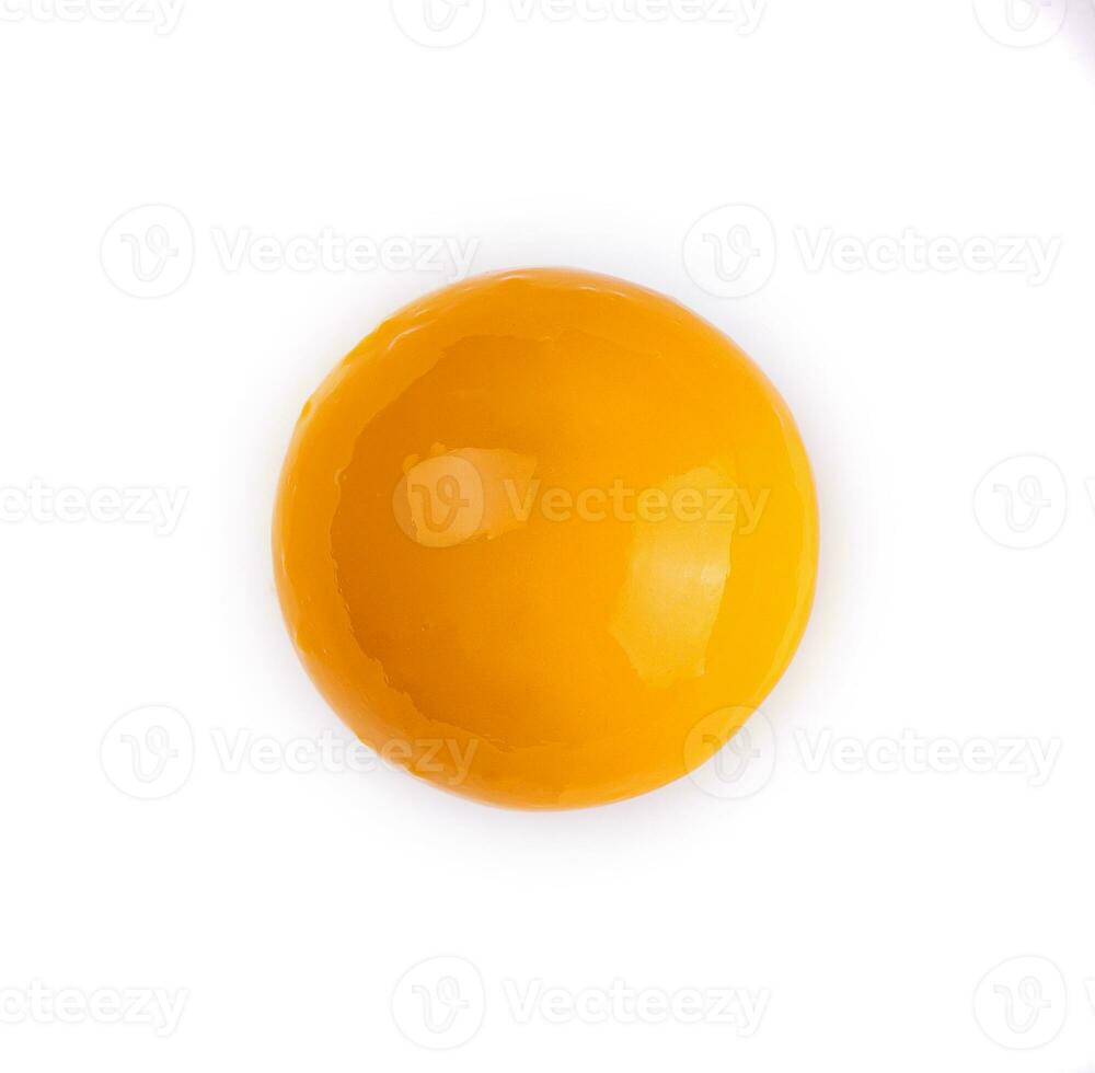 Egg yolk in bowl separated for cooking photo