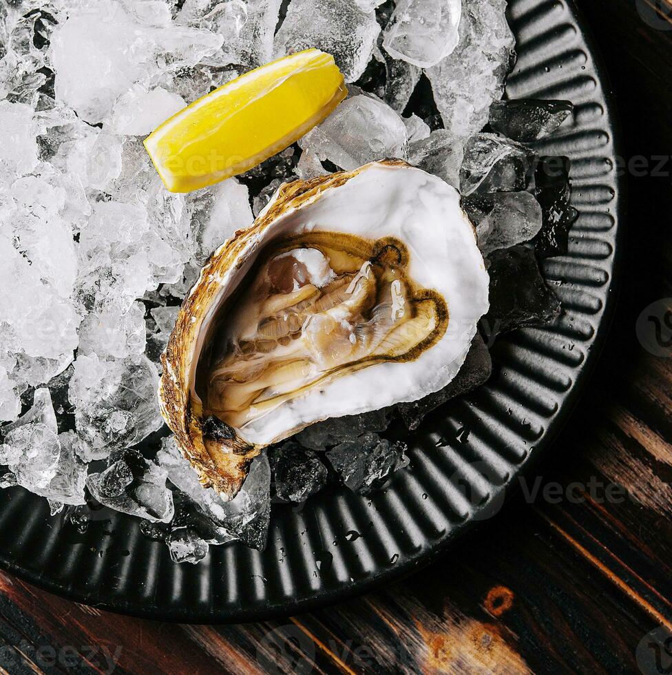 Fresh raw open oyster with ice and lemon slices photo