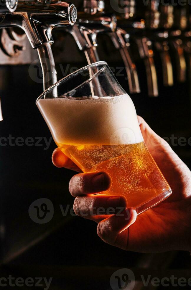 Close-up of barman hand at beer tap pouring a draught lager beer photo