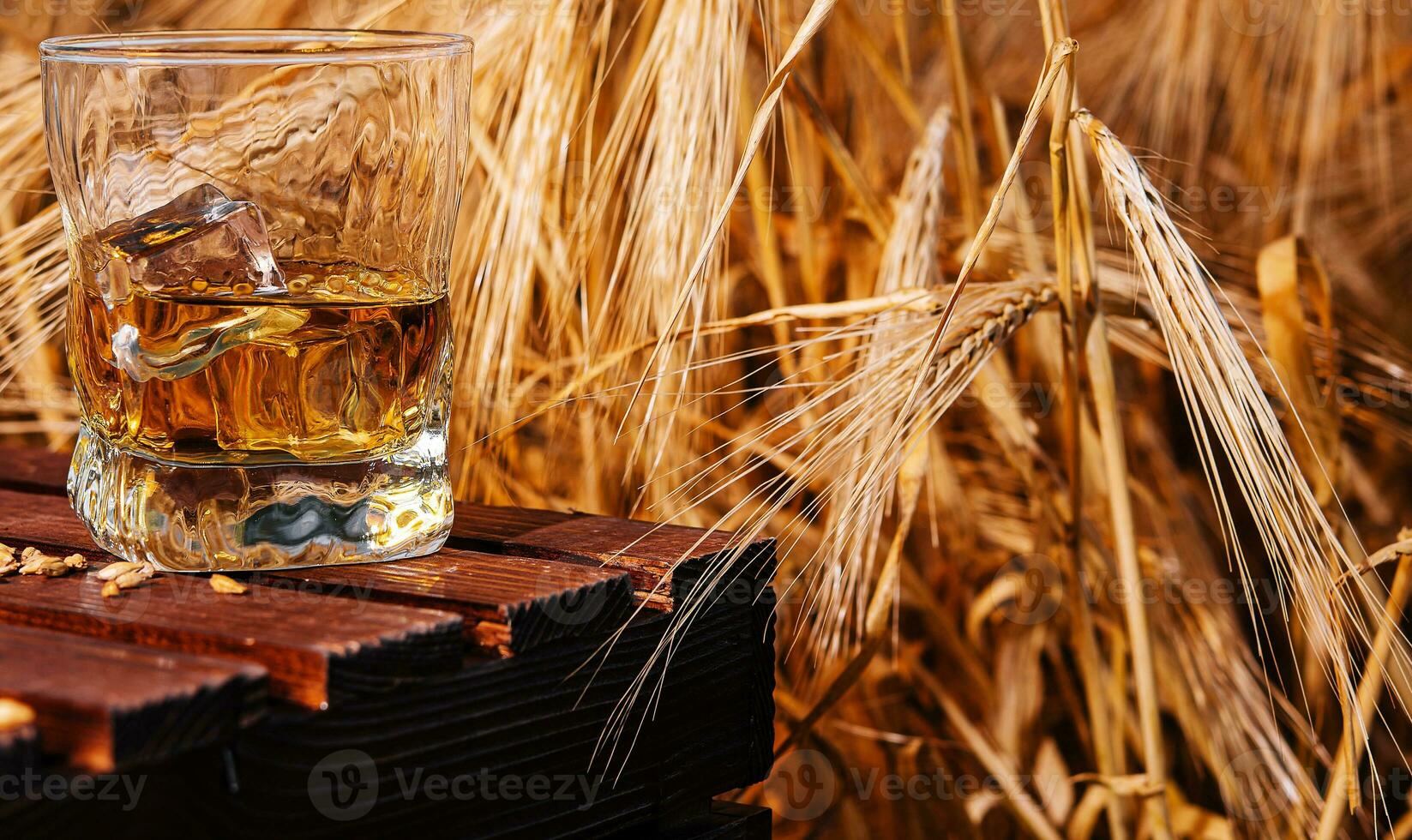 glass of whiskey in a field with ears photo
