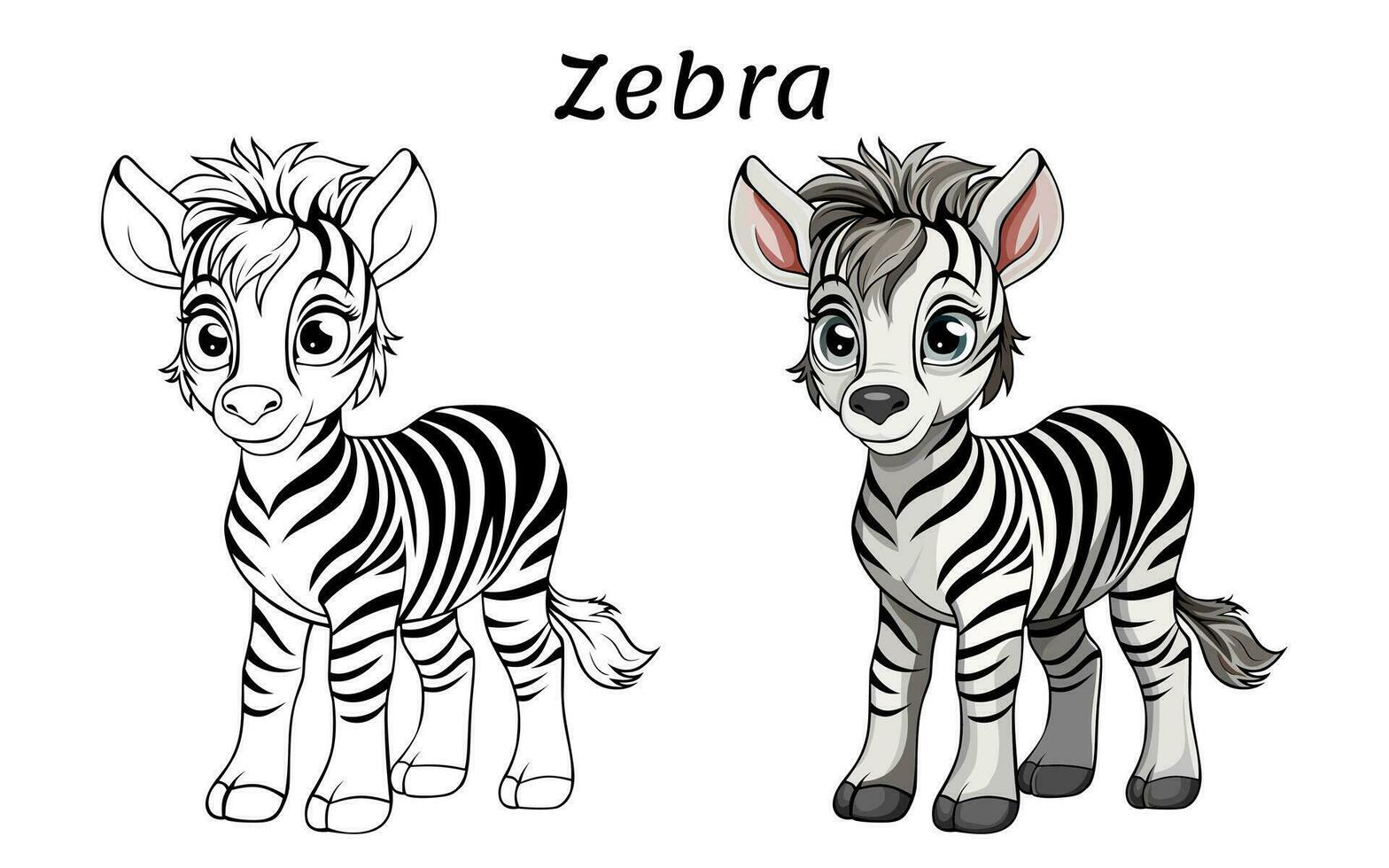 Cute Zebra Animal Coloring Book Illustration vector