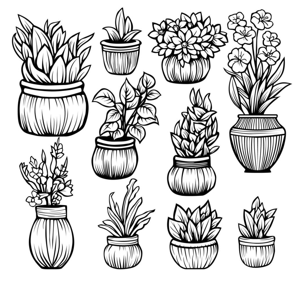 hand drawn flower house plant coloring book illustration vector