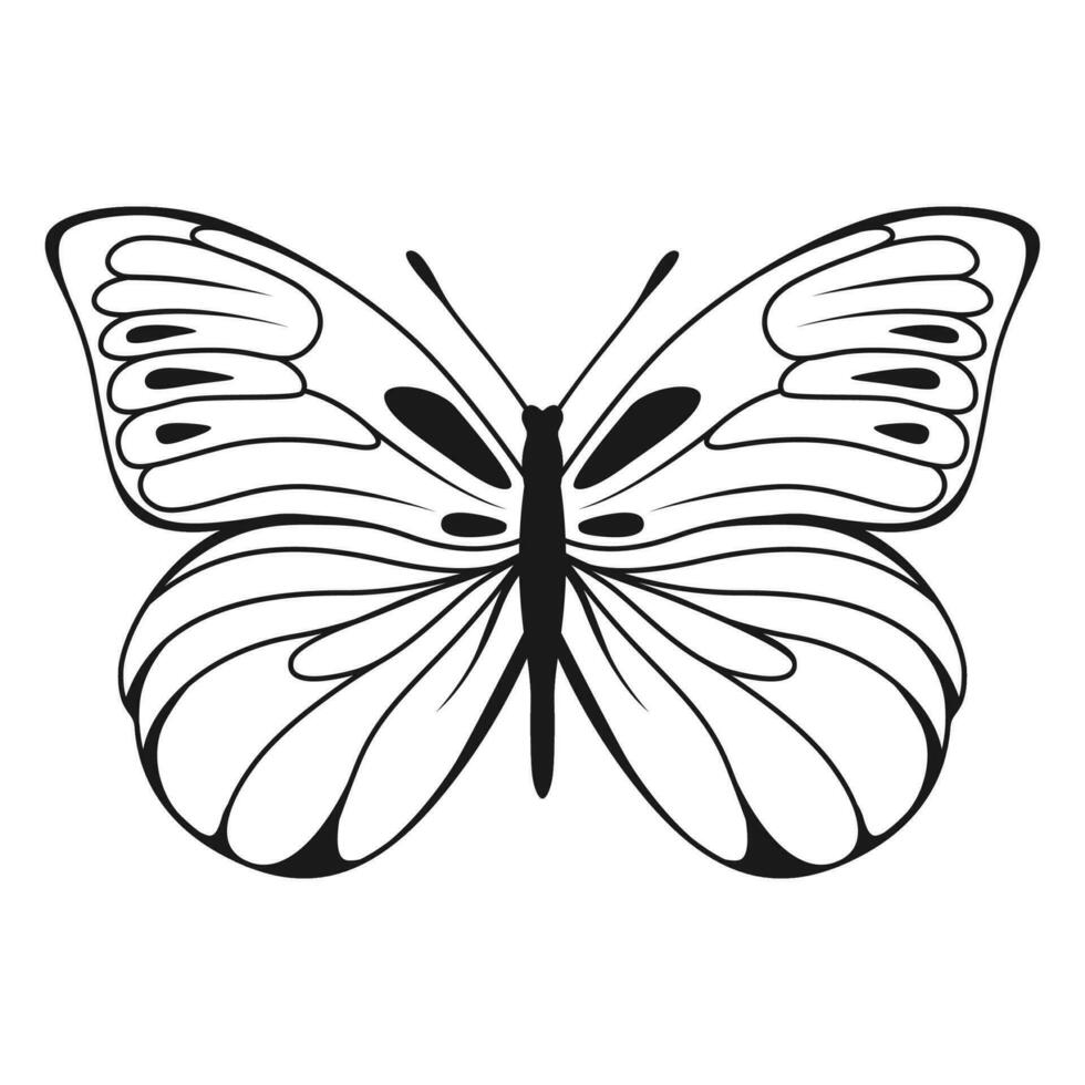 Vector Butterfly Black Silhouette Isolated on White Background. Decorative Insect Illustration