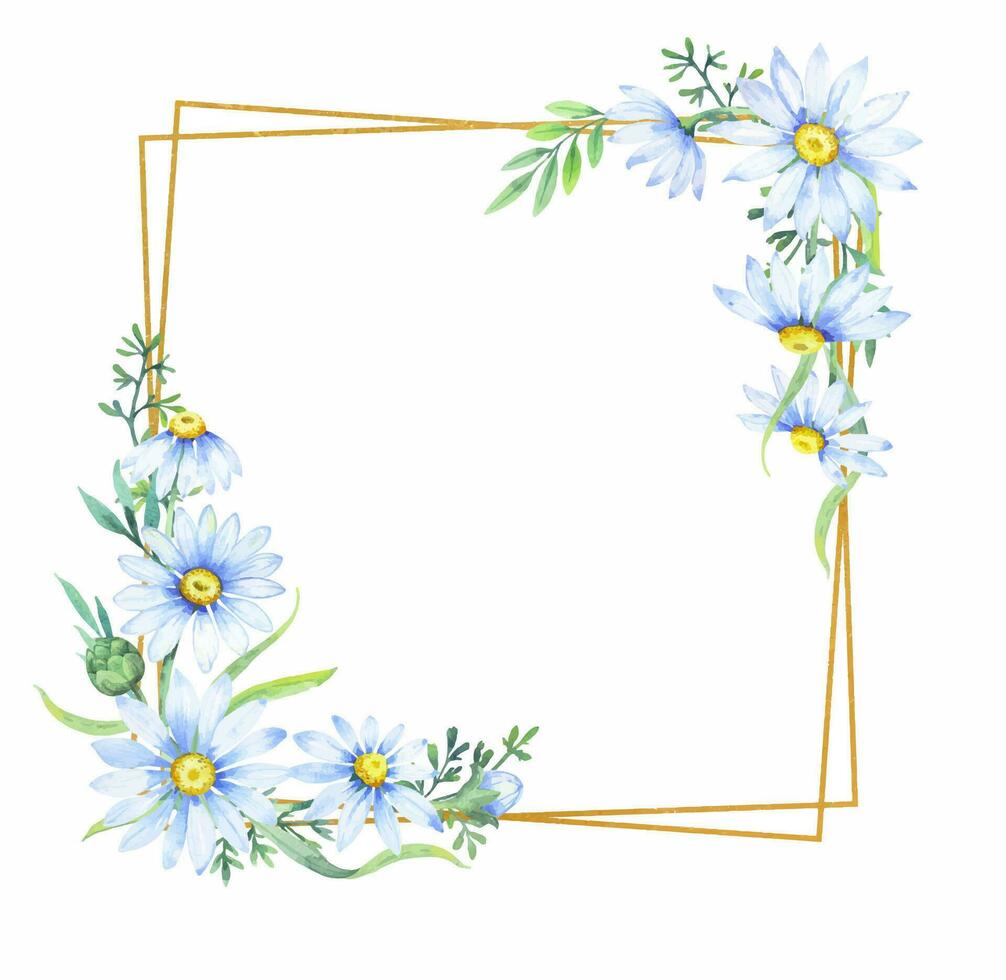 Gold square frame with apothecary chamomile flowers. Floral border of daisies, watercolor illustration vector
