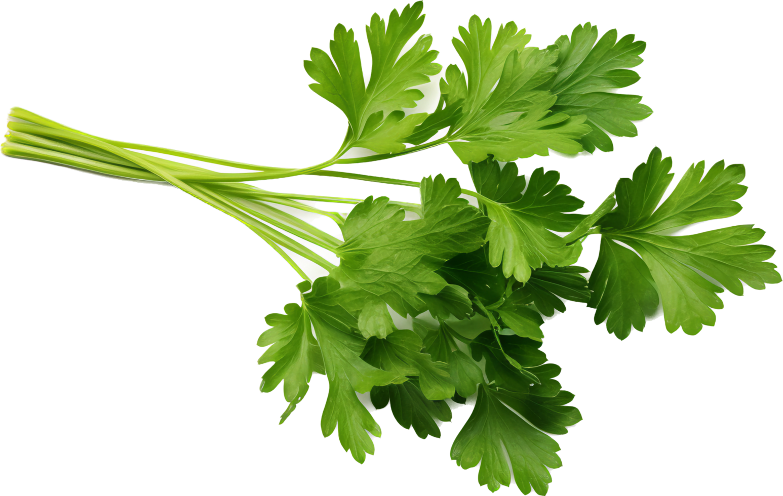 persil png avec ai généré.