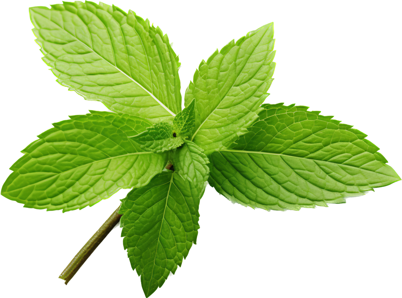 Mint png with AI generated.