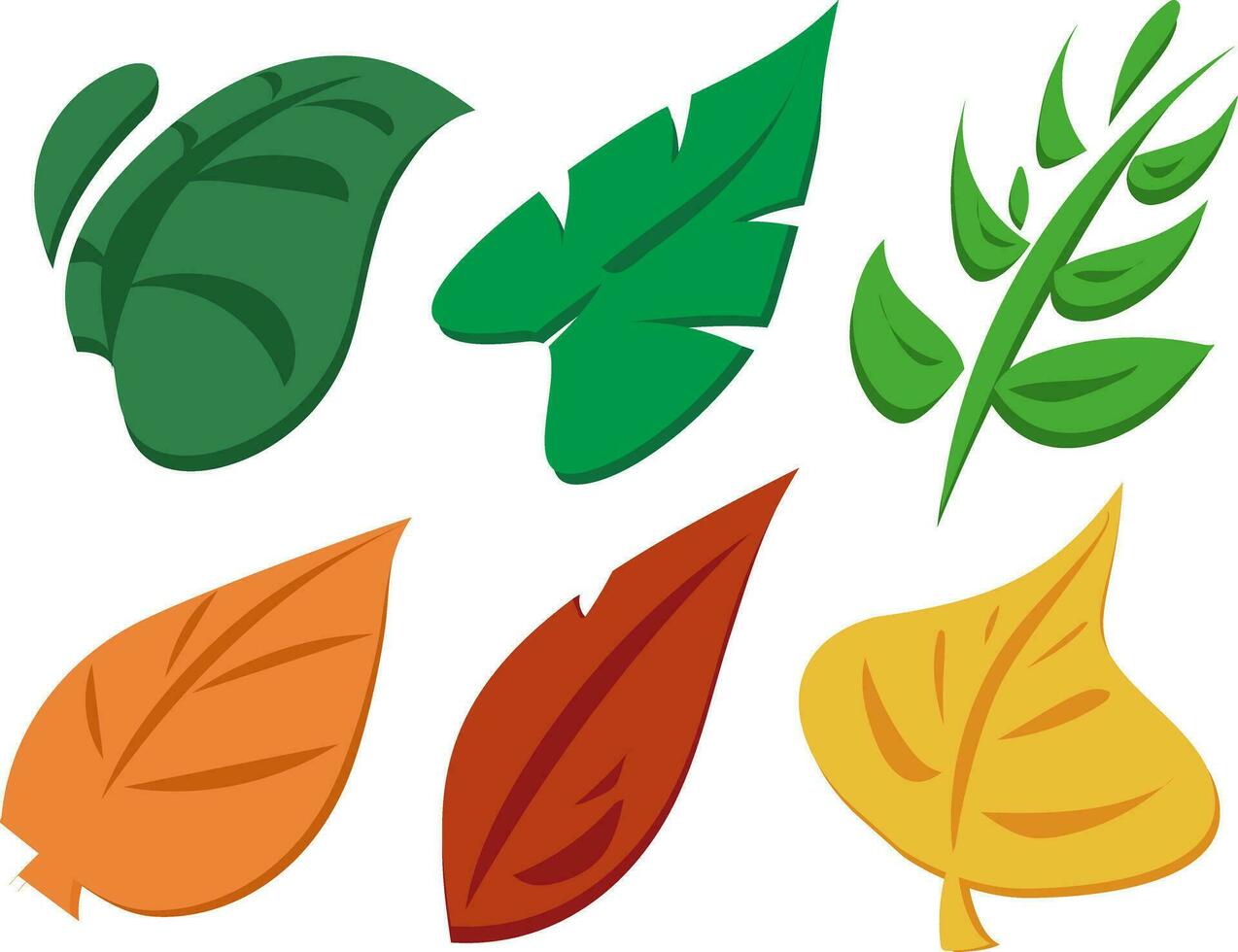Set of leaves of all seasons vector
