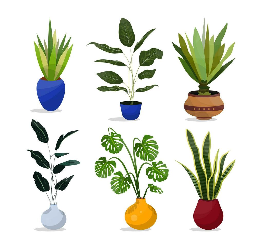 Collection of plants for decor of home and office illustration. vector