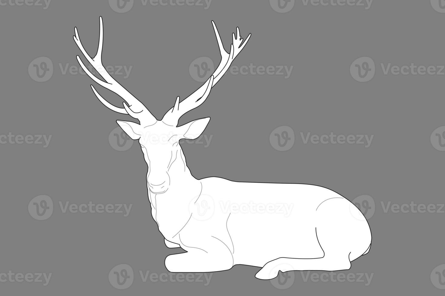 white deer sitting isolated on grey background. Line art outline illustration no people. photo