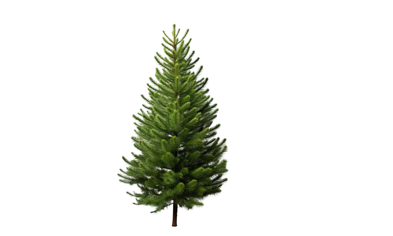 AI Generated Green pine trees, lush, transparent background png