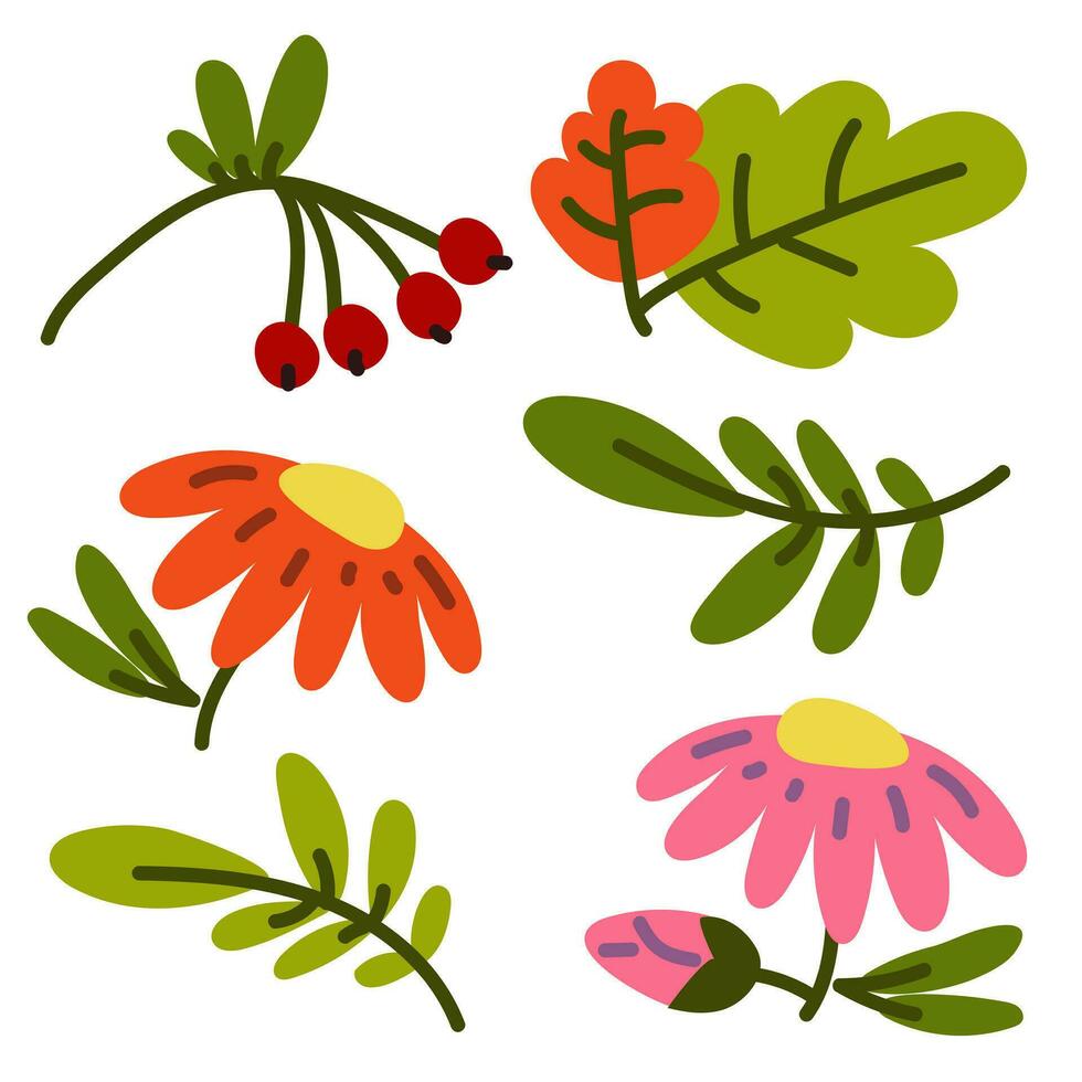 un conjunto de vistoso otoño hojas y bayas. aislado en un blanco antecedentes. sencillo dibujos animados plano estilo. vector plano colección de ilustraciones. brillante otoño hojas, bayas, flores en un blanco