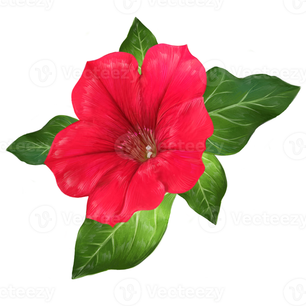 vermelho petúnia flor com folhas botânico ilustração png