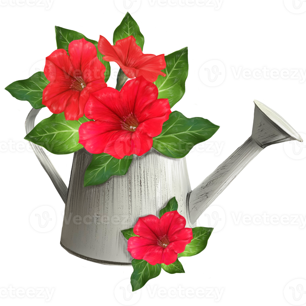 bouquet of red pitunias in a watering can png