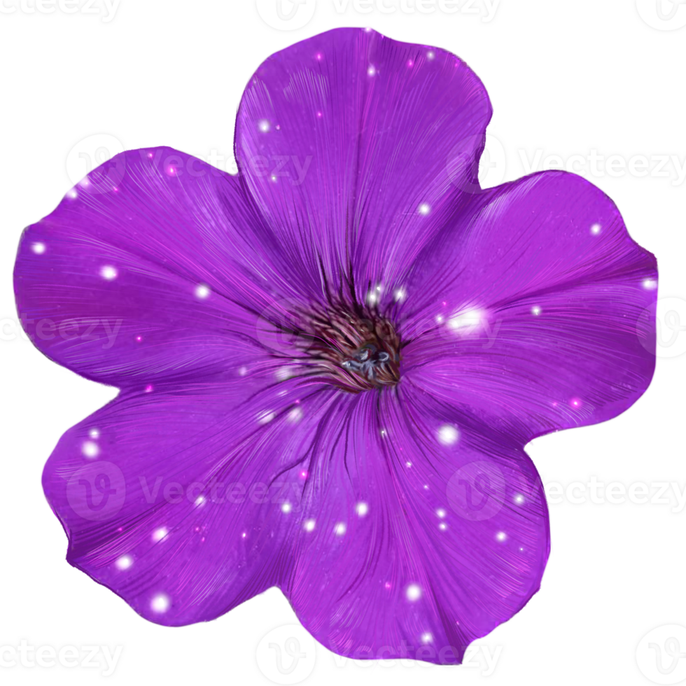 one purple pitunia flower with leaves botanical illustration png
