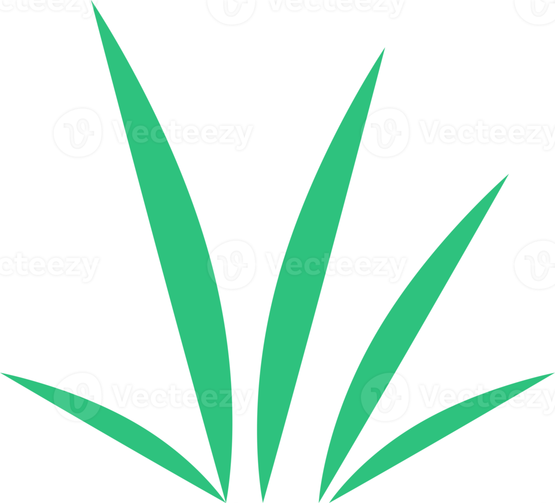 Green grass icon png