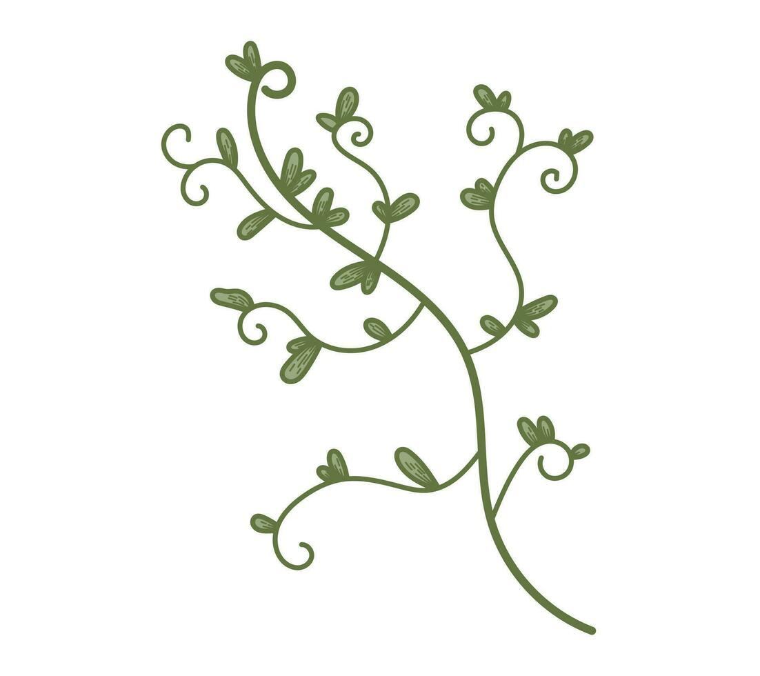 A twig of a vine with green leaves. Vector isolated flat plant branch.