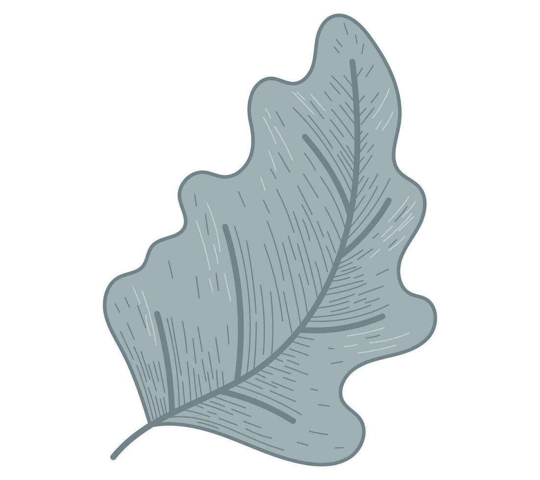 Isolated decorative vector flat leaf, sketch style.