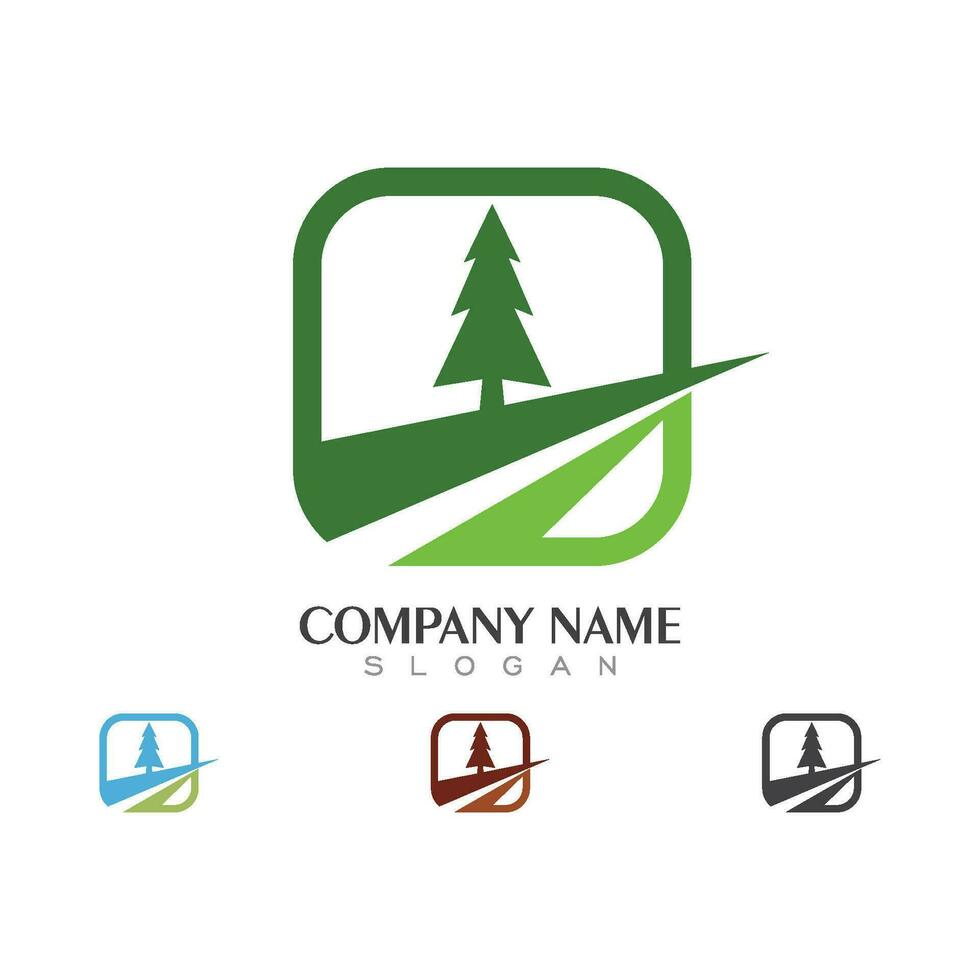 Cedar tree Logo template vector