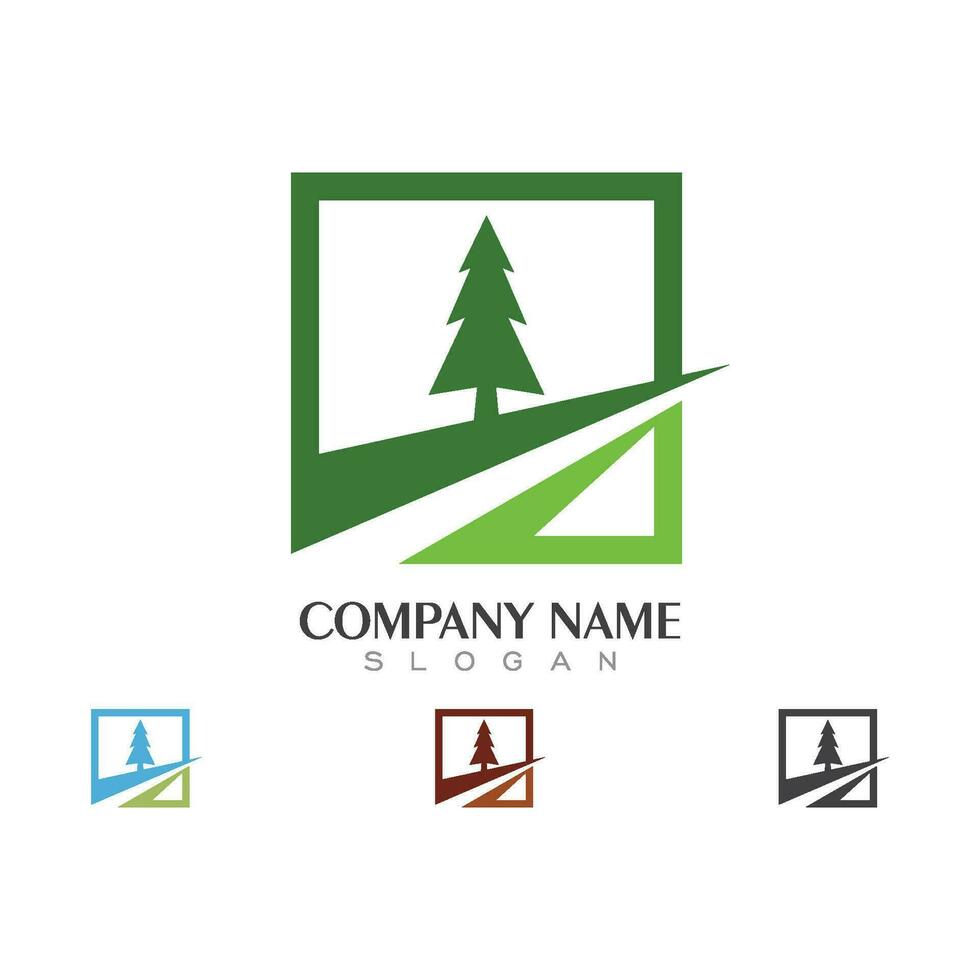 Cedar tree Logo template vector
