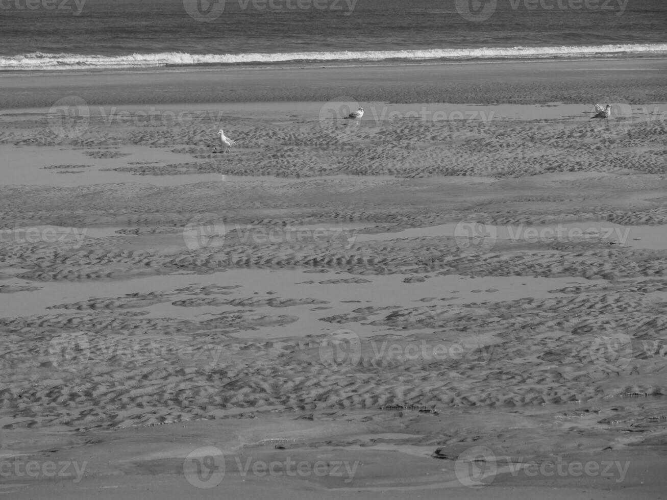 the island of Langeoog photo