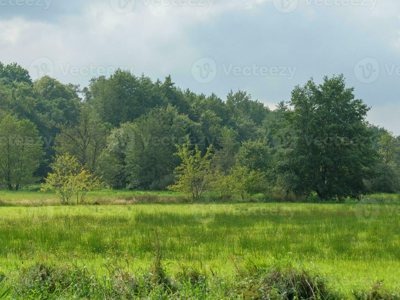 haaksbergen in the netherlands photo