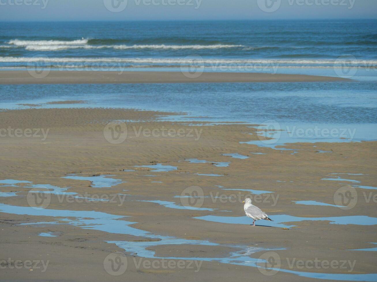 langeoog island in germany photo