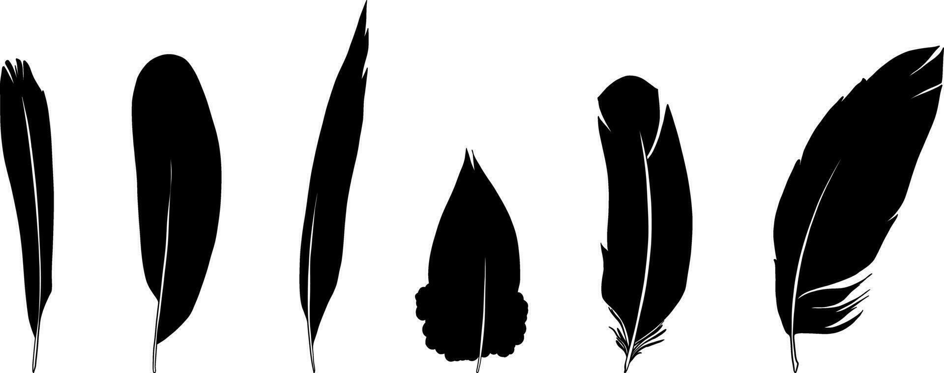 set of black feathers isolated on white background vector