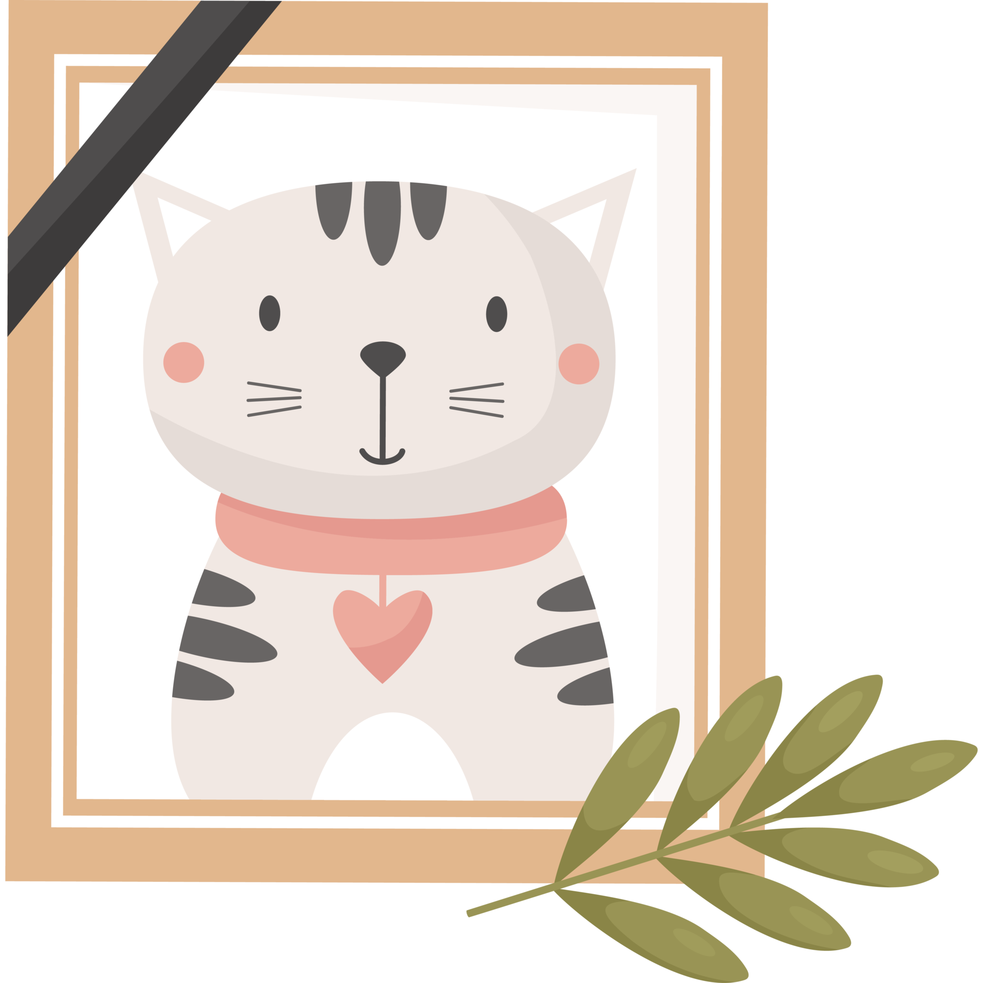 photograph-of-dead-cat-31768244-png