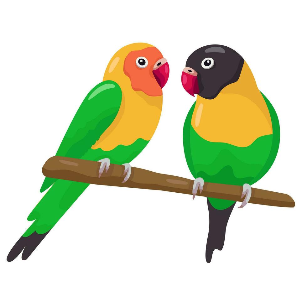 Cute flat vector love parrots sitting on a branch isolated on white background. Green and yellow small lovebirds. Talking realistic birds. Domestic pets.