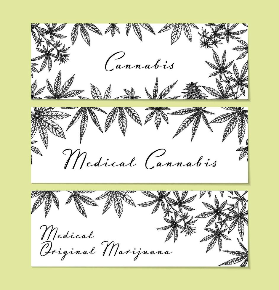 Set of cannabis horizontal designs for packaging, social media posts, store decoration, branding, certificates. Marijuana vector illustration in sketch style. Hemp engraved background