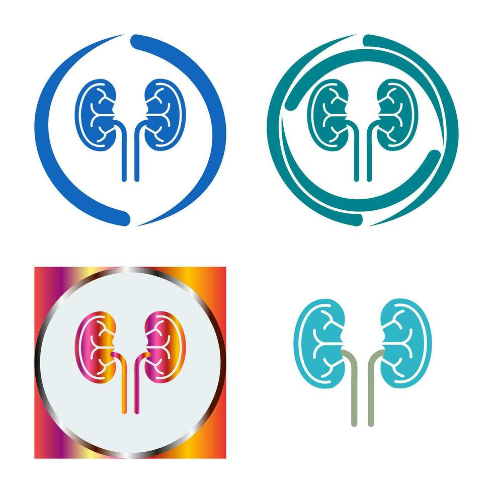 Kidney Vector Icon