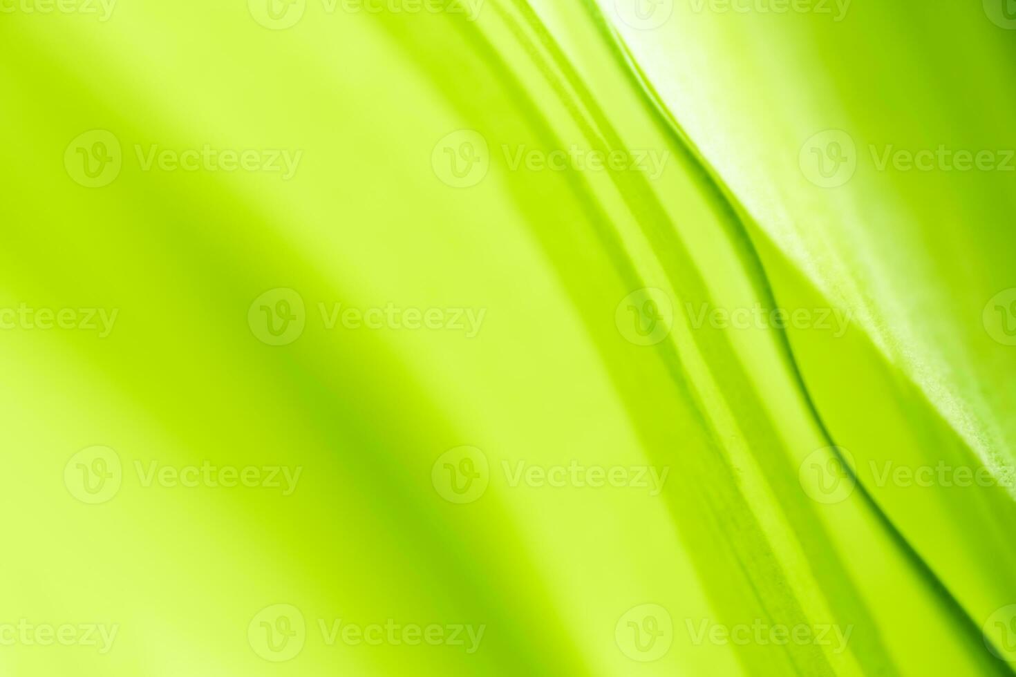 Gradient Nature view of green leaf on blurred greenery background in garden with copy space using as background natural green plants landscape, ecology, fresh wallpaper photo