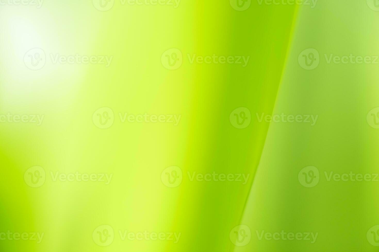 Gradient Nature view of green leaf on blurred greenery background in garden with copy space using as background natural green plants landscape, ecology, fresh wallpaper photo
