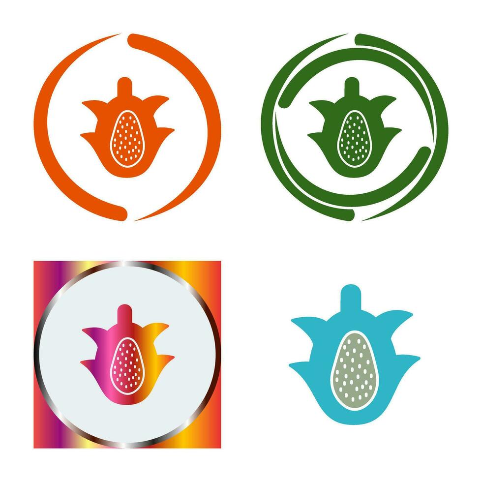 Dragon Fruit Vector Icon