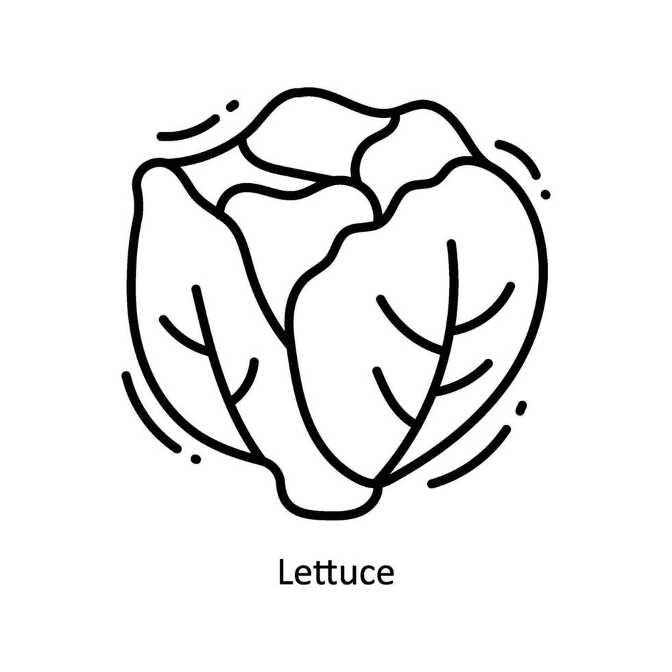Lettuce doodle Icon Design illustration. Food and Drinks Symbol on White background EPS 10 File vector