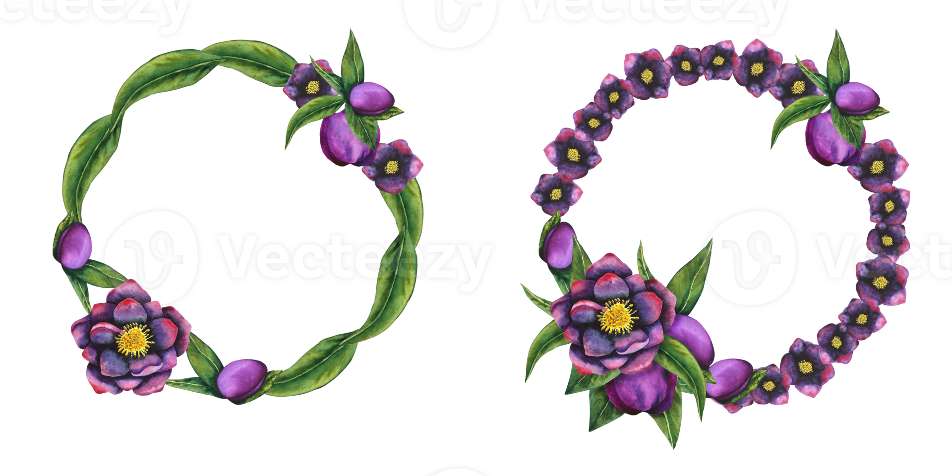 Hellebore black. Wreath of watercolor elements on a transparent background. Hand drawn flowers, buds and leaves. Watercolor botanical work for cards, invitations, textiles and paper products png
