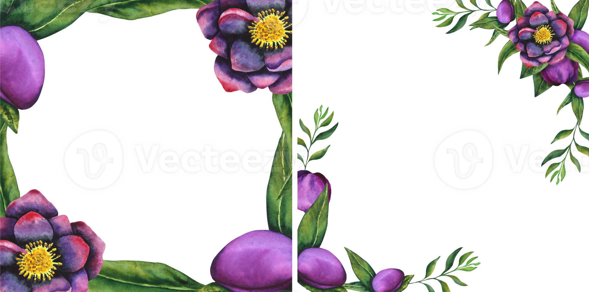 nieskruid zwart. kader gemaakt van waterverf elementen Aan een transparant achtergrond. hand- getrokken bloemen, bloemknoppen en bladeren. waterverf botanisch werk voor kaarten, uitnodigingen, textiel en papier producten png