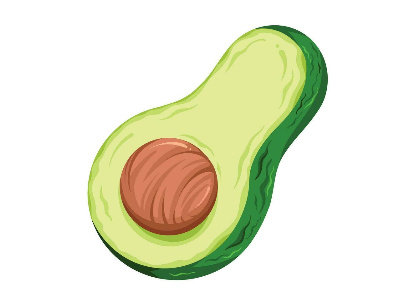 Sliced half avocado with big round seed inside. Vector fruit illustration isolated on white horizontal background. Simple flat cartoon art styled drawing.